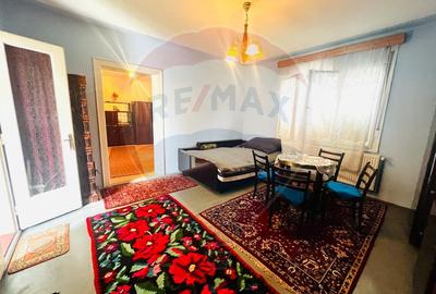 Casă 4 camere 1672 mp teren in Horia - 11