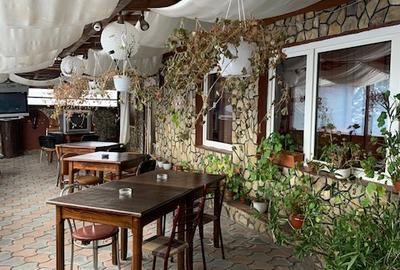 Restaurant pensiune de vanzare, loc. Margineni jud. Bacau - 8