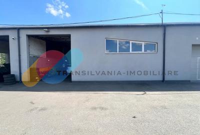 Hală 200 mp, birouri, acces TIR, 6 parcări-Cluj-Napoca - 2