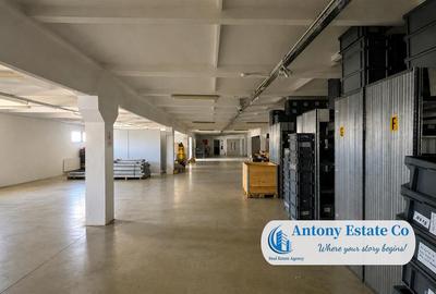 Antony Estate | Vanzare Hala - 2019 mp, Borsului - Oradea - 2