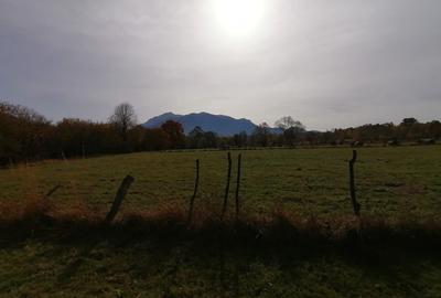 Teren in Sohodol-Bran - 4