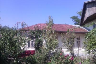 Casă + teren 2188 mp aproape de Lacul Gălățui, Alexandru Odobescu, Călărași - 3