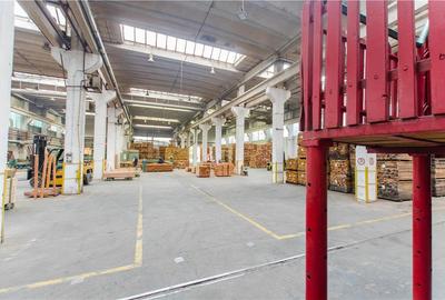 Hala industriala de 2700mp cu 3,1 ha teren intravilan in Miercurea Sibiului - 18