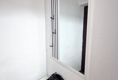 Apartament cochet zona Take Ionescu-cu centrala gaz - 21
