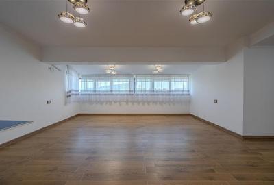 PIPERA - EROU IANCU NICOLAE,VILA ,9 CAMERE,504 MP MP,TEREN 800 MP,PISCINA - 21