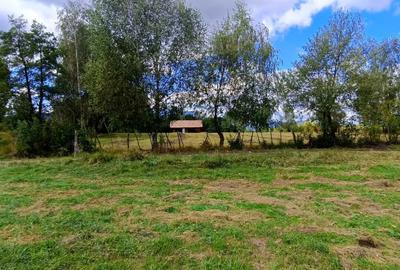 Teren cu suprafata generoasa in zona pitoreasca - Bran Sohodol - 1