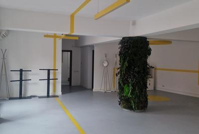 Piata Unirii- zona Patriarhie, vila spatioasa 400mp, birou - 11