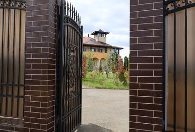 Proprietate spatioasa cu potential turistic - Iasi - 1