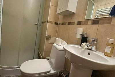 Inchiriere Apartament cu 3 camere Canta Bloc Nou - 7