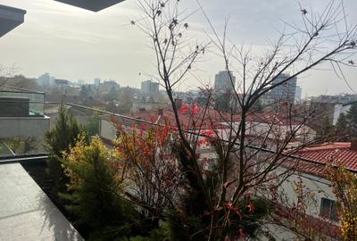 Premium penthouse for rent- Primaverii-4rooms - 8