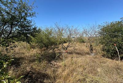 Cabana din lemn+ teren 2000 mp , 105.000 Euro negociabil, zona Metro - 9