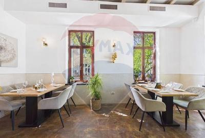 Afacere de vanzare, restaurant Gradina Icoanei - 4