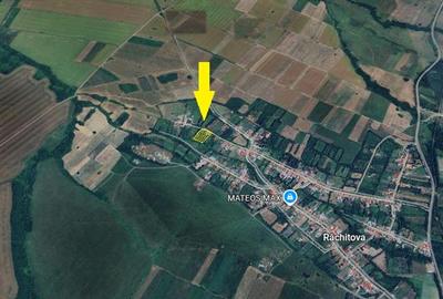 Rachitova, Casa 8 Incaperi, 3800mp Teren, Pret Negociabil - 30