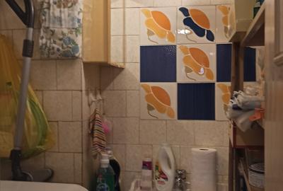 Apartament 4 camere Lacul Tei - Doamna Ghica - Parcul Plumbuita - 10