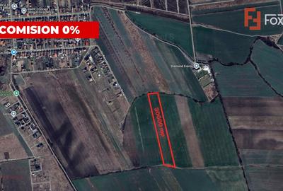 Teren Construcții extravilan de 30000 mp, în Săcălaz