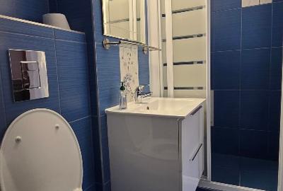 Chirie 2 camere Mănăștur, Cluj-Napoca - 11