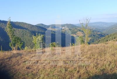 Teren intravilan | 3565 mp | Ideal constructie cabane | Garda de Sus - 2