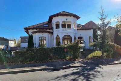 Câmpina, locație strategică pentru clinică medicală, centru de recuperare, spa - 1