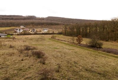 RECO teren intravilan Betfia – ideal pentru casa sau investitie - 8