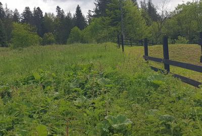 Teren intravilan de vanzare Predeal - 7