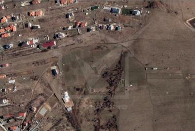 Teren Construcții intravilan de 6000 mp, în Sălicea