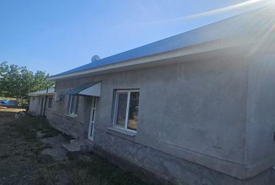 Proprietate imobiliara casa și teren în Criva de Sus - 1