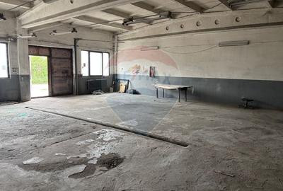 Spațiu industrial 262mp impartit in 3 module, ocupabil imediat - 8