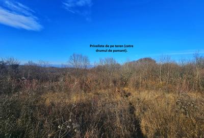 Teren intravilan 2.000 mp – Seciu, 2 deschideri, Priveliște panoramica - 8