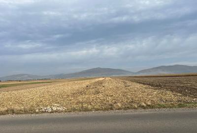 Teren extravilan, Prejmer, front asfalt - 3