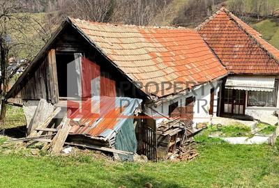 TEREN 11.500 MP + CASA AUTHENTICA ÎN BRAN – ȘIMON | VEDERE BUCEGI - 12