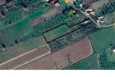 Casa de Vanzare Baiculesti Arges - 8