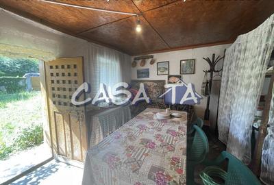 Casa 4 Camere, Parter, Runcu - Baltisoara - 15