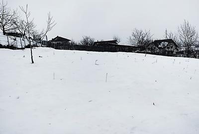 1400 mp. Deschidere 38 m Teren Intravilan CETATE Valea Popii utilitatile langa - 6