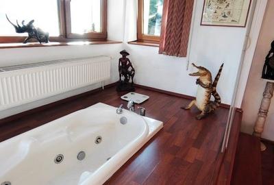 Apartament rustic, deosebit de 98 mp,  cu gradina, in Andrei Muresanu - 11