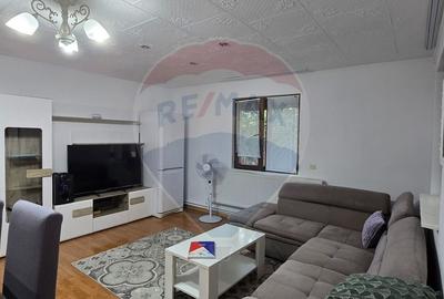 Casa cu mansarda in MIȘCA  jud Arad - 1