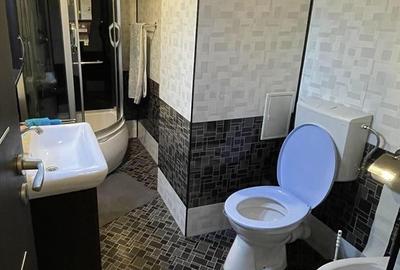 Apartament 2 Camere,Alba Iulia,bl.2012,et.2/4,Amenajat,centrala,mobilat - 10