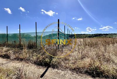 Corbeanca 3000 mp | deschidere 22 m la drum asfaltat | padure | utilitati - 4