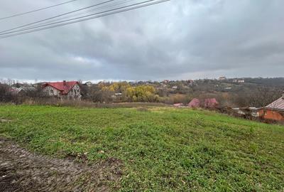 Teren intravilan de vanzare, 4300mp, Rediu, Intersectia Breazu - 3