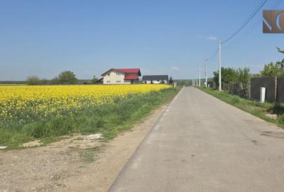 Teren 8000 mp | Sitaru-Gradistea | Oportunitate Dezvoltare - 7