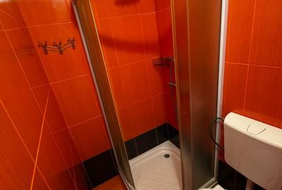 Apartament cu 4 camere, 2 bai de inchiriat str. Cazaban - Oradea - 18