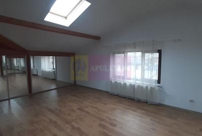 Două vile tip duplex de închiriat - zona Antiaeriană - 17