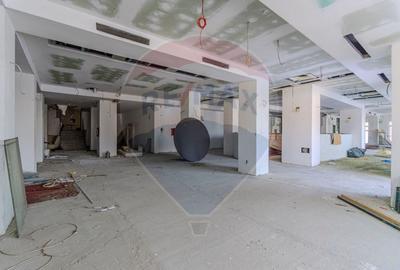 Activ Hotelier SubEvaluat | 18.000 mp construiti | 3 ha teren | BRASOV - 55
