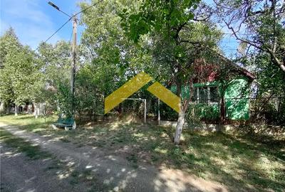 Casa de vanzare in Bodrogu Vechi - 9