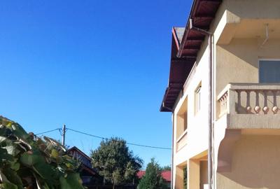 Casa de inchiriat, Prundu Mic -Pitesti, mobilata si utilata, curte, centrala etc - 8