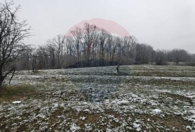 Teren 5,700mp Somcuta Mare / investitie cu potential major - 4