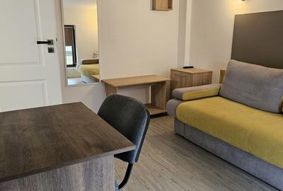 Apartament 1 camera de inchiriat in vila, zona Centru-Primarie - 5