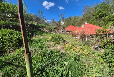 Casa langa Gradina Zoologica - 9