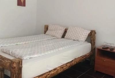 Pensiune langa lac si Casa Baraj !!! - 11