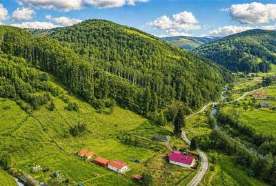 Teren la poalele padurii,Buzaiel,Vama Buzaului,DJ,constructie +utilitati,Brasov - 10