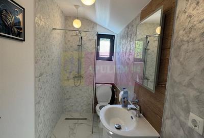 Casa de vanzare cu 2 apartamente in Azuga - 16